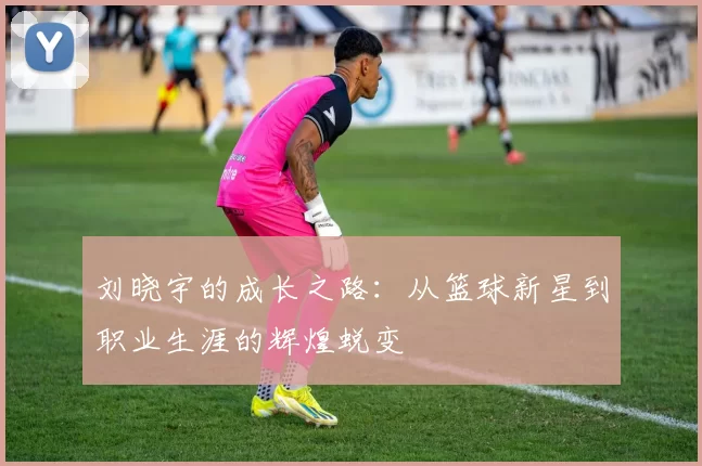 刘晓宇的成长之路：从篮球新星到职业生涯的辉煌蜕变