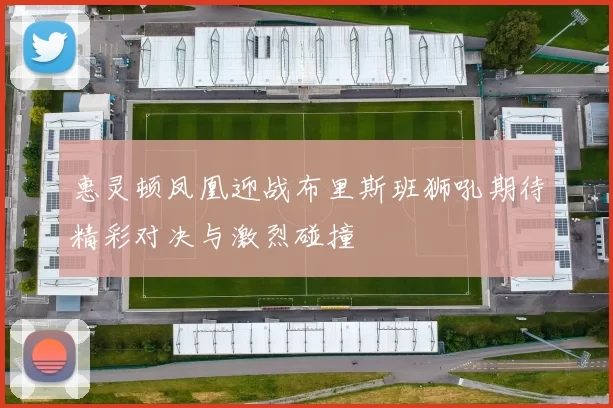 惠灵顿凤凰迎战布里斯班狮吼期待精彩对决与激烈碰撞