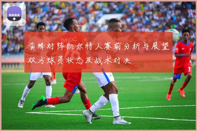 黄蜂对阵凯尔特人赛前分析与展望双方球员状态及战术对决