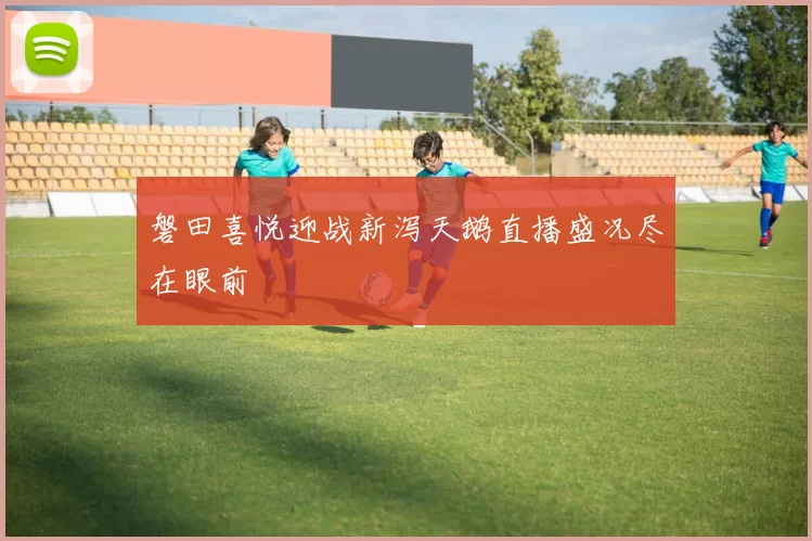 磐田喜悦迎战新泻天鹅直播盛况尽在眼前