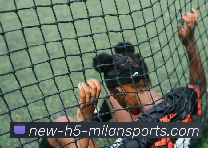 米兰官网全站App